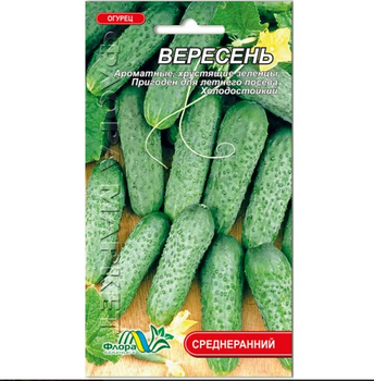 Семена Огурец Вересень среднеранний 1 г
