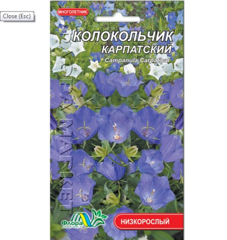 Насіння Дзвіночок Карпатський різні кольори багаторічник низькорослий 0.05 г