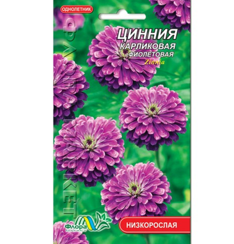 Семена Цинния карликовая фиолетовая однолетник низкорослый 0.2 г