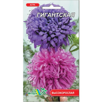 Семена Астра Гигантская пионовидная смесь разные цвета 0.3 г