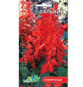 Семена Сальвия красный однолетник низкорослый 0.3 г