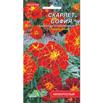 Семена Бархатцы отклоненные Скарлет София красно-желтый однолетник низкорослый 0.1 г