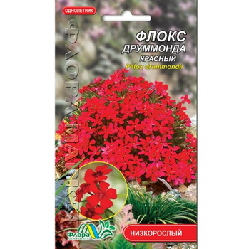 Насіння Флокс друмонда червоний однорічник низькорослий 0.1 г