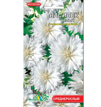 Семена василек белый многолетник среднерослый 0.25 г