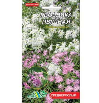 Семена гвоздика Пышная разные цвета многолетник среднерослый 0.1 г