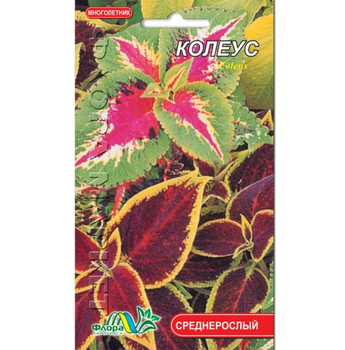 Семена Колеус разные цвета многолетник среднерослый 0.02 г