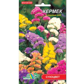 Семена Кермек смесь разные цвета многолетник сухоцвет 0.15 г