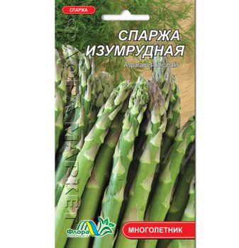 Насіння Спаржа Смарагдова сортова багаторічник 0.5 г