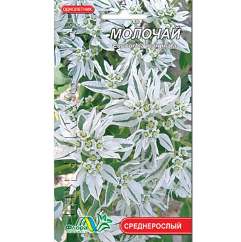 Семена Молочай невеста белый однолетник среднерослый 0.5 г