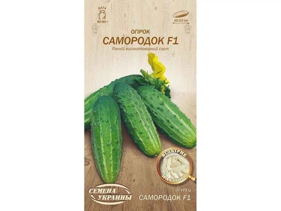 Огірок СЕМЕНА УКРАИНЫ (20 пачок) "Самородок F1" ОВ 0,5г (рс)