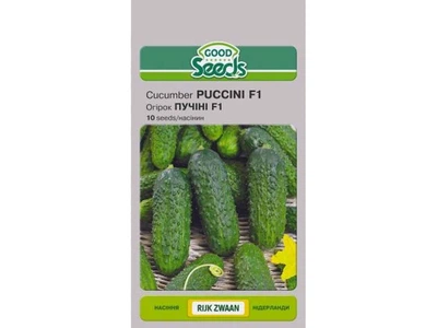 Огірок GOOD SEEDS (10 пачок) ПУЧІНІ F1 [10 насінин]