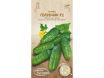 Огірок СЕМЕНА УКРАИНЫ (20 пачок) "Голубчик F1" ОВ 0,5г (рс)