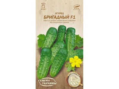 Огірок СЕМЕНА УКРАИНЫ (20 пачок) "БРИГАДНЫЙ F1" ОВ 0,5г (сс)