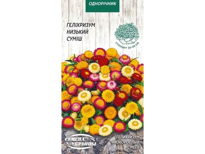 Геліхрізум СЕМЕНА УКРАИНЫ (10 пачок) низький (суміш) ОД 0,2г