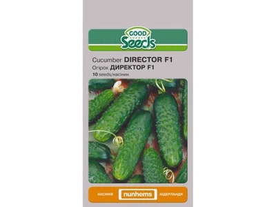 Огірок GOOD SEEDS (10 пачок) ДИРЕКТОР F1 [10 насінин]