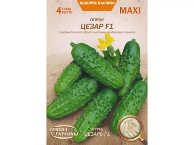 Огірок СЕМЕНА УКРАИНЫ (10 пачок) Максі "ЦЕЗАРЬ F1" 4г (сс)