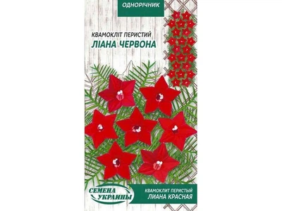 Квамокліт СЕМЕНА УКРАИНЫ (10 пачок) Перистий "Лиана Красная" ОД 0,25г