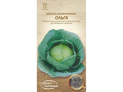 Капуста СЕМЕНА УКРАИНЫ (20 пачок) білокачанна "Ольга" ОВ 1г (пс)