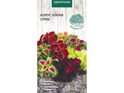 Колеус СЕМЕНА УКРАИНЫ (10 пачок) Блюма (суміш) ОД 0,05г