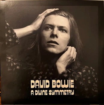 Виниловая пластинка david bowie A Divine Symmetry