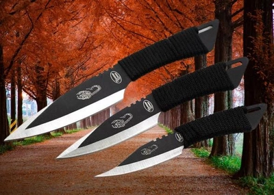 Спортивні метальні ножі BL Скорпіон 3шт