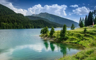 Картина на холсте "Природа" (PR322)