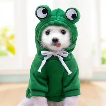 Толстовка для собак и кошек "Frog" Size L