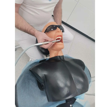 Італійський стоматологічний манекен, фантом для демонстрації навичок, навчальна анатомічна модель
