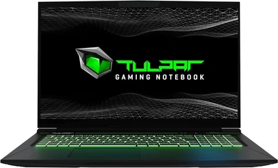 Ноутбук Tulpar T7 V20.6 17,3"IPS FHD 144Gz Core i7-13700H 16Gb 1Tb m2 PCIe 4.0 RTX 4060 8 GB Max-P RGB Black