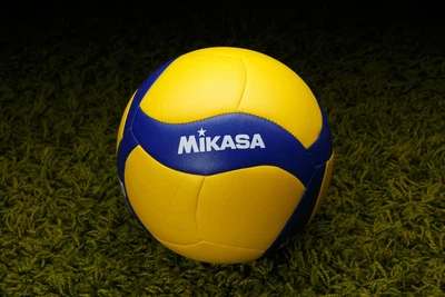 Мяч волейбольный Mikasa V460W