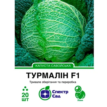 Голландские семена Hazera Савойская капуста Турмалин F1 20 шт