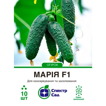Японские семена Sakata Огурец Мария F1 10 шт