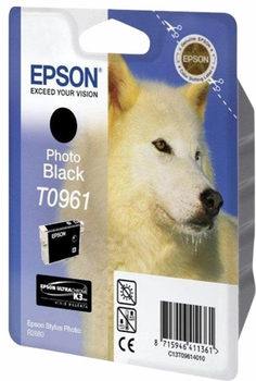 Картридж Epson Stylus Photo R2880 Photo Black (C13T09614010)