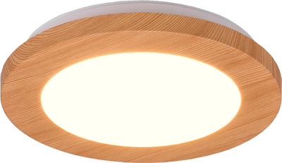 Светильник LED светодиодный потолочный Reality CAMILLUS 9W 1000lm 3000K (R62921035) для кухни, спальни, гостиной
