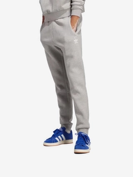 Спортивні штани чоловічі Adidas IA4833 L Сірі (4066745089331)
