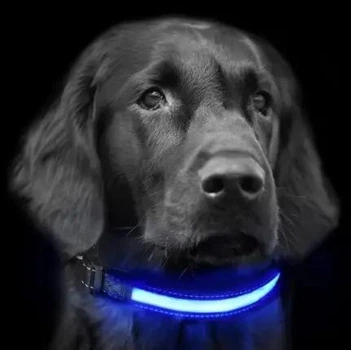 Світиться LED нашийник, повідець для тварин собак і кішок чорний