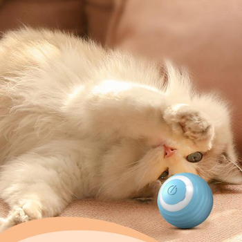 Игрушка для кошки шарик + перо, купить в интернет-магазине МелочЁtrakt100.ru - Оптовая фирма