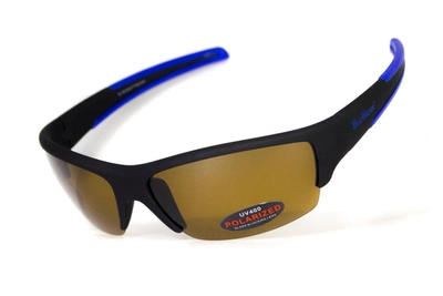 Поляризационные очки BluWater DAYTONA-2 Polarized (brown) коричневые 4ДЕЙТ2-Г50П