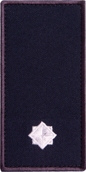 Шеврон нашивка на липучці IDEIA погон звання ДСНС Молодший лейтенант, вишитий патч 5х10 см (2200004303833)