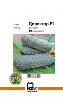 Огурец Директор» F1 10 сем, А (Nunhems).