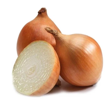 Семена лука-севок Купидо, 1кг, Top Onions, Голландия