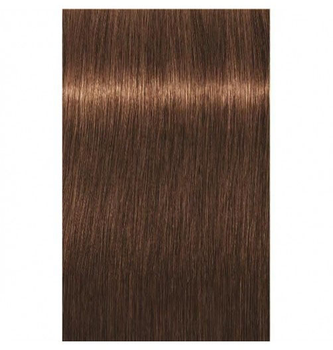 Стійка фарба для волосся Schwarzkopf Igora Royal Absolutes 6 - 460 Dark Blonde Beige Chocolate Natural 60 мл (4045787631647)