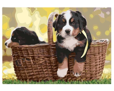 Malowanie po numerach Zieler Dogs 42 x 29.7 cm (0604565571052)