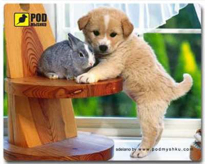 Коврик для мышки Podmyshku Щенок, пластик.