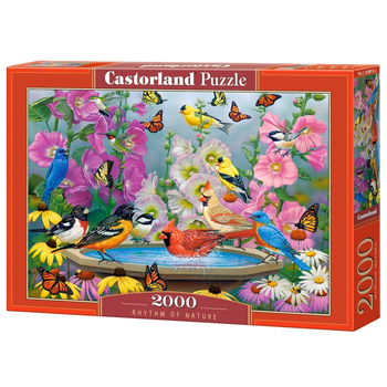Пазл "Ритм природи", 2000 елементів Castorland (5904438200818)