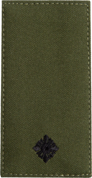 Шеврон нашивка на липучці IDEIA погон звання ЗСУ Хорунжий 5х10 см хакі (2200004295763)