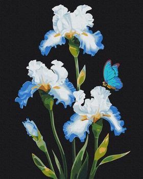 Картина по номерам Ирисы Анны (BS53915) Brushme 40x50 см