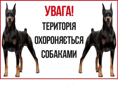 Табличка-застереження про собак-охоронців (доберманів) (д-9267)