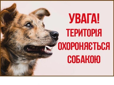 Табличка-попередження "Злий пес" Бежева для дому із собакою д-9208
