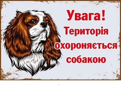 Табличка про пса (гумористична) пластикова кольорова Д-9289